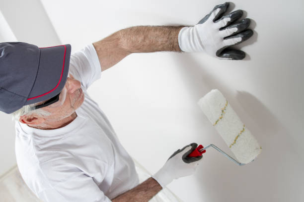 Best Fire-Damaged Drywall Repair  in Forestbrook, SC